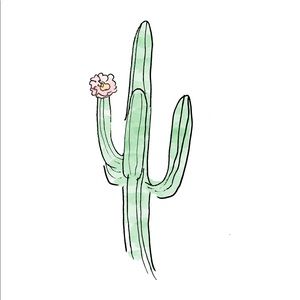 Meet your Posher, Desert